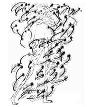 Medium: 'Chinese Ink on Paper', Size:'31 x 23 cm'