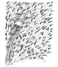 Medium: 'Chinese Ink on Paper', Size:'31 x 23 cm'