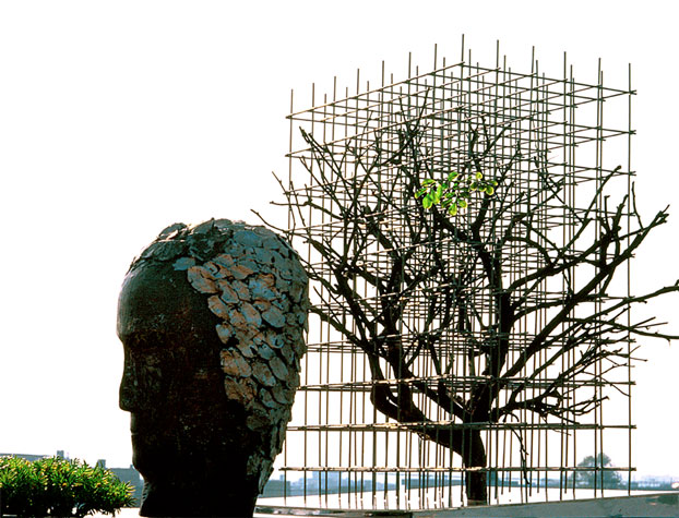 Medium: 'Steel Rods, Wooden Glass, Plastic Tree & Terracotta Head', Size: '80 x 100 x 200 cm', 'Installation'