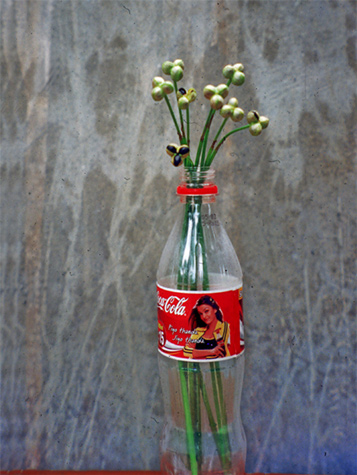 Medium: 'Archival Digital Print', Size: '50 x 75 cm'